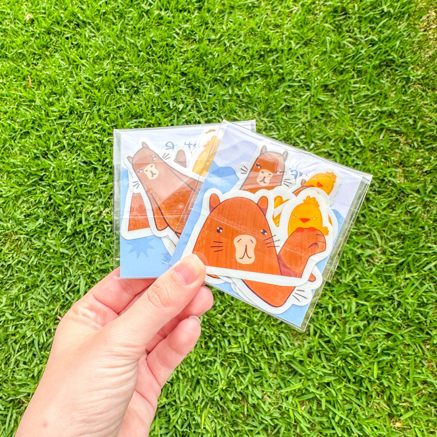 Capybara Sticker Set - Arttay Designs