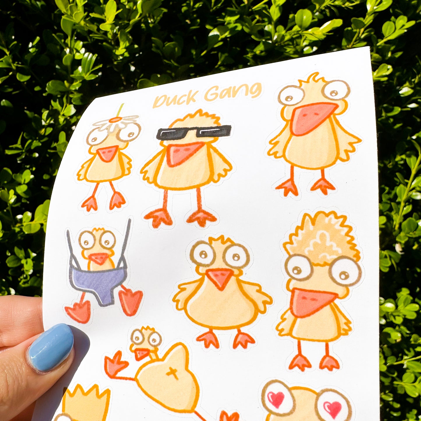 Duck Gang Sticker Sheet