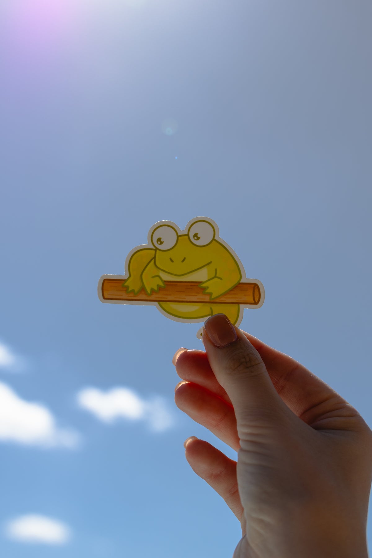 Frog on a Log Sticker
