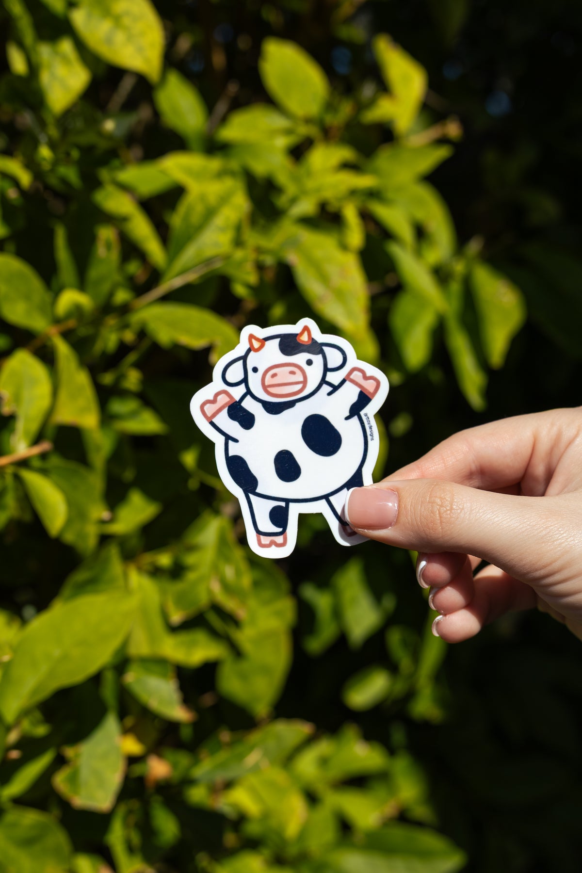 Chubby Cow Sticker
