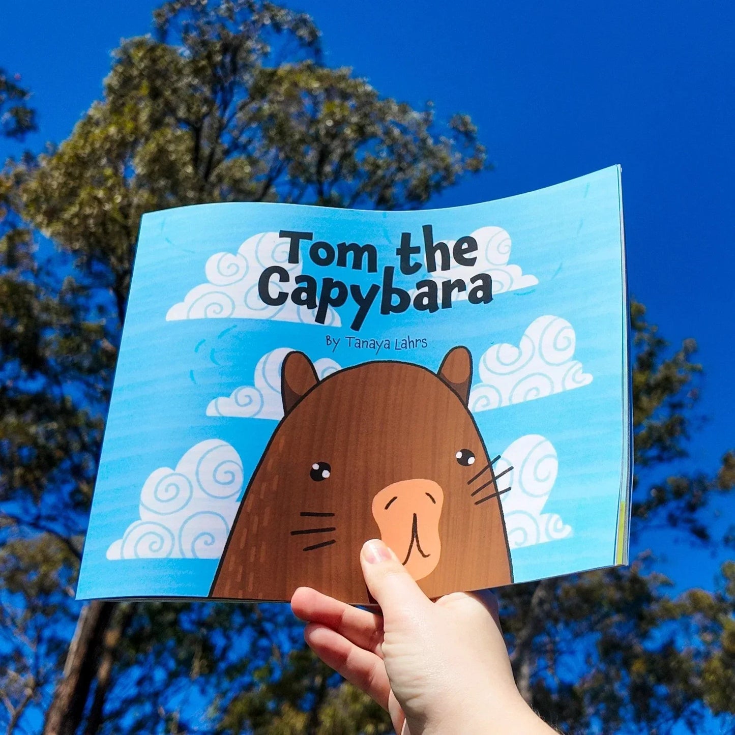 Tom the Capybara - Arttay Designs