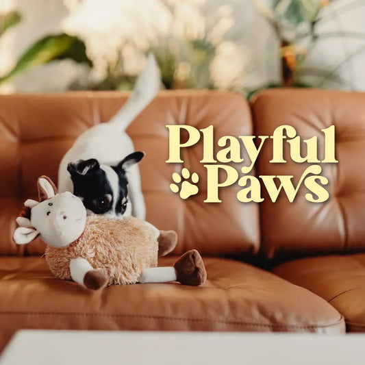 Playful Paws