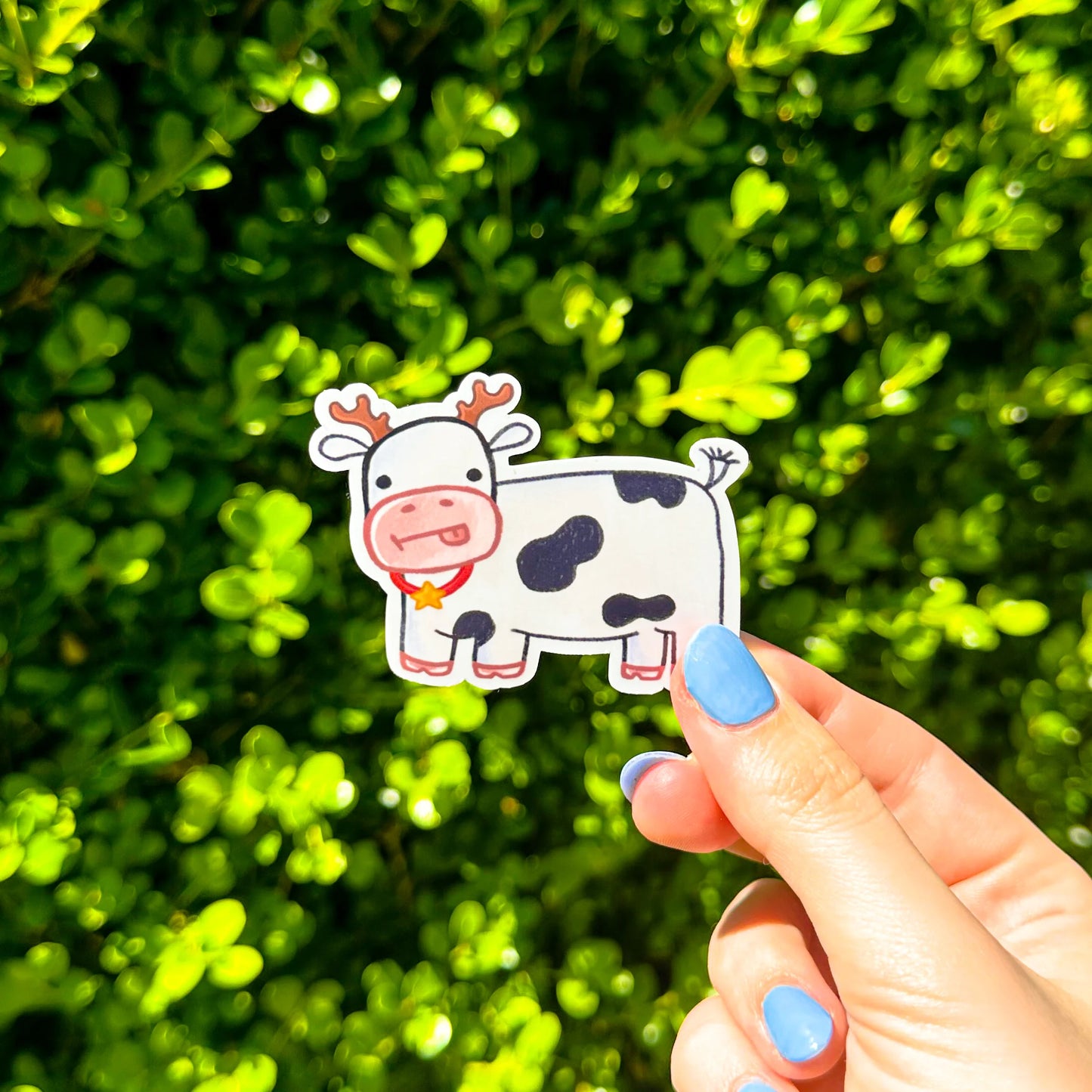 Christmas Cow Sticker