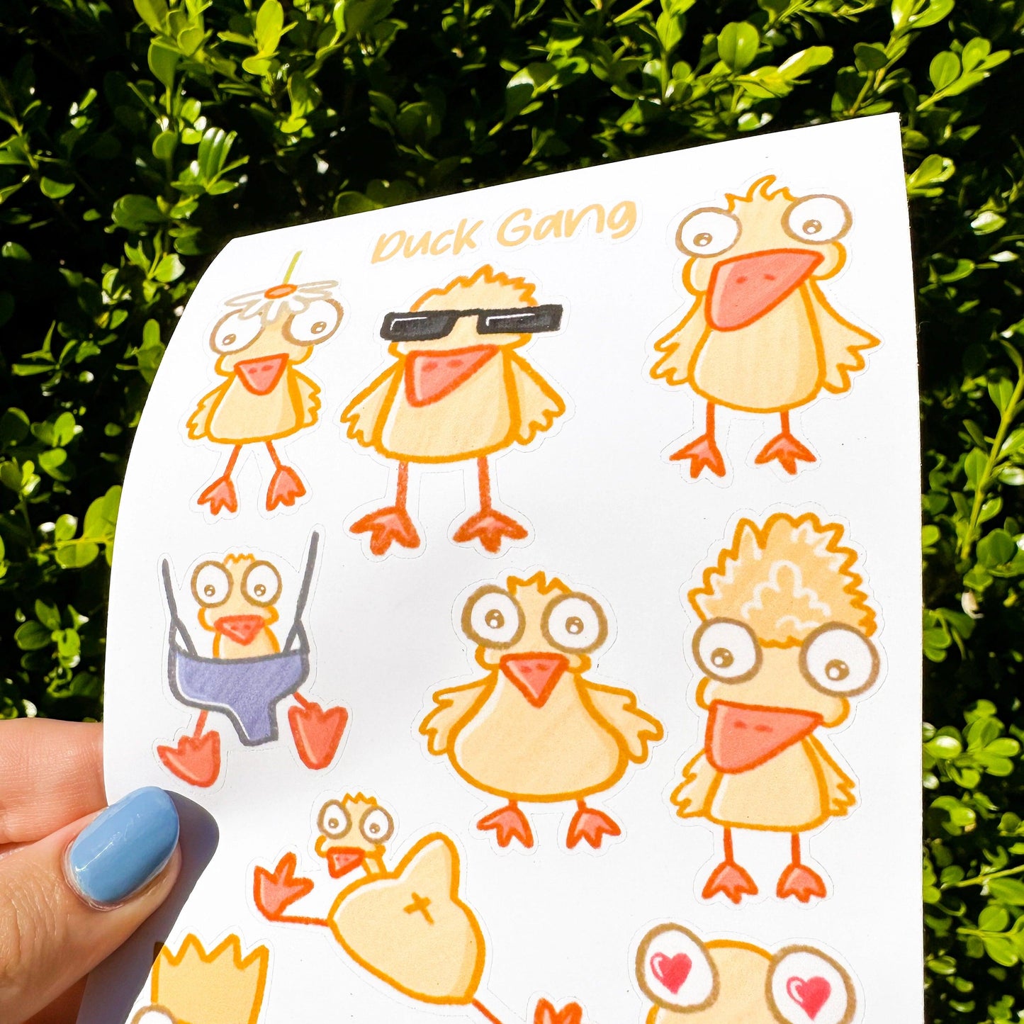 Duck Sticker Sheet - Arttay Designs