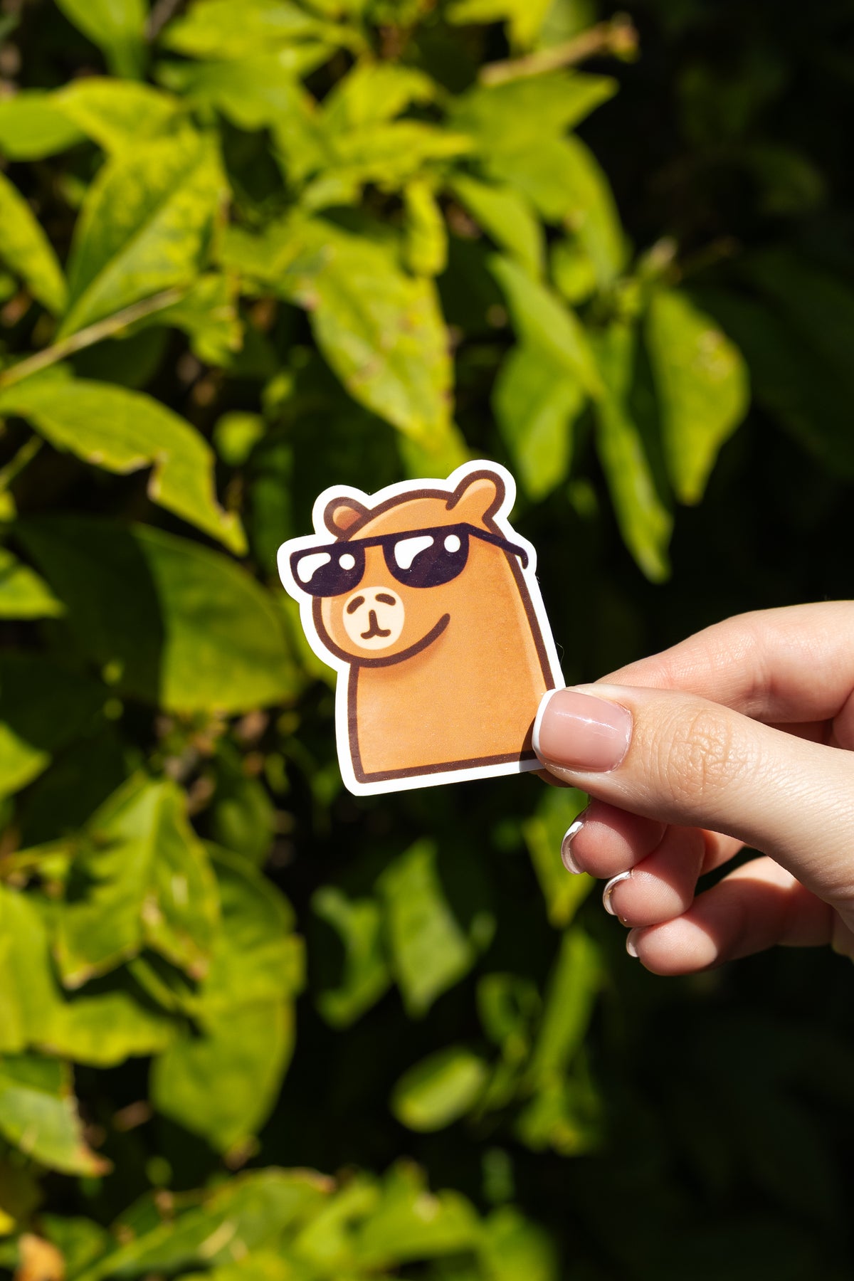 Cool Capy Sticker