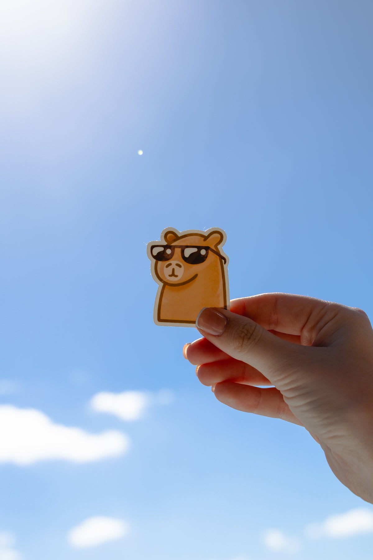 Cool Capy Sticker