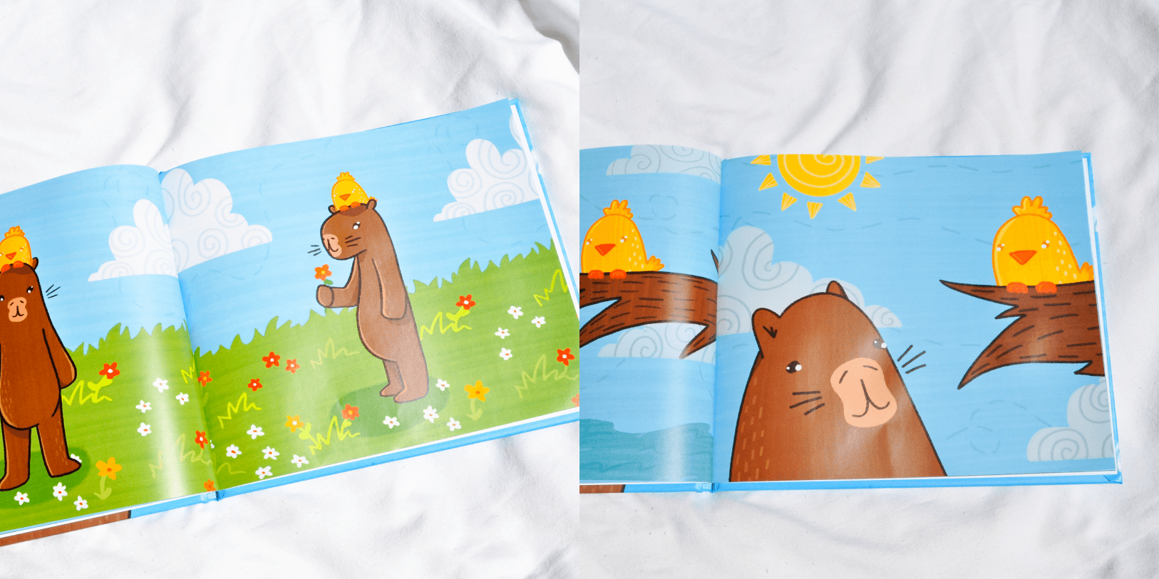 Tom_The_Capybara_Book_ArttayDesigns - Arttay Designs