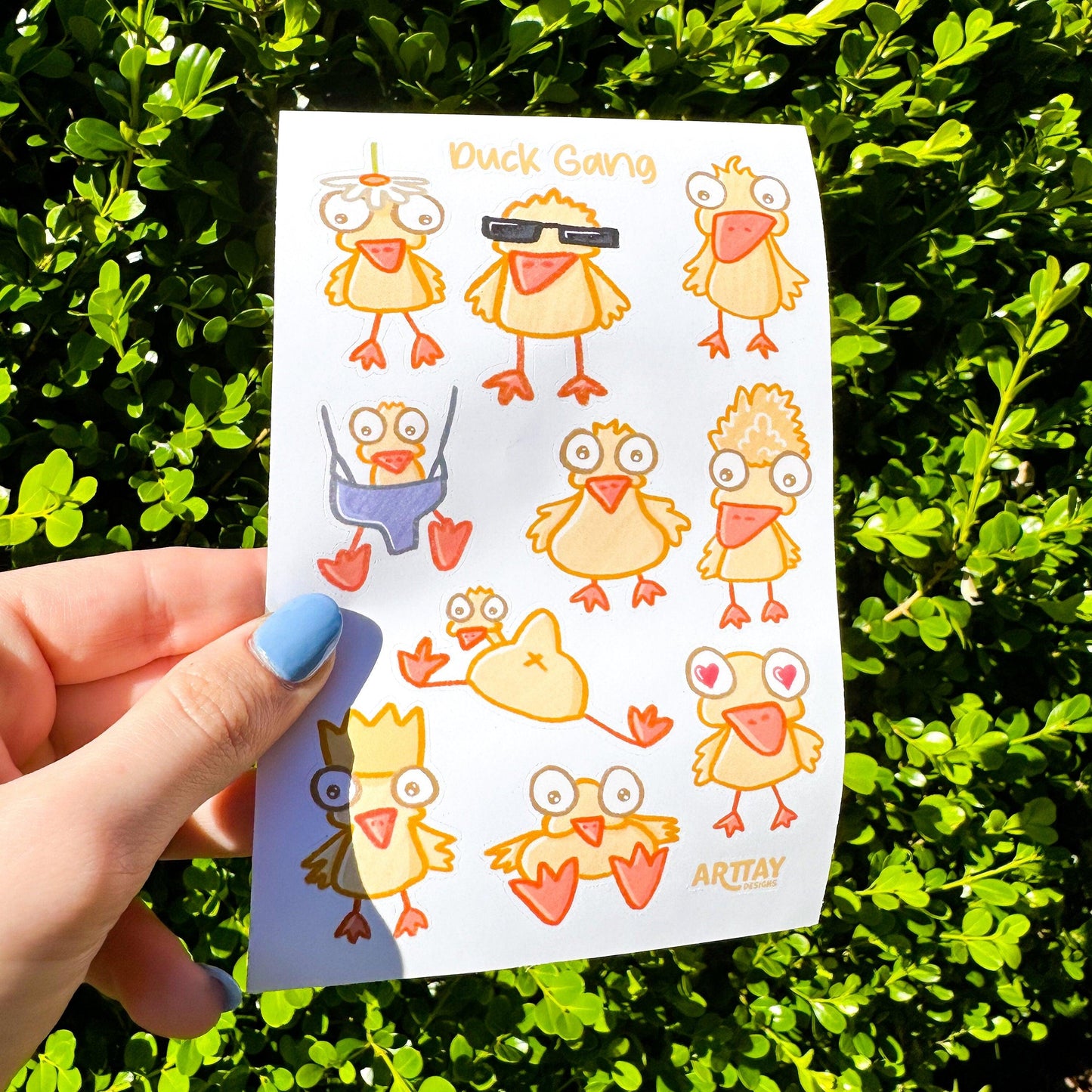Animal Sticker Sheet Bundle